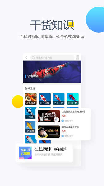 龙巅论坛