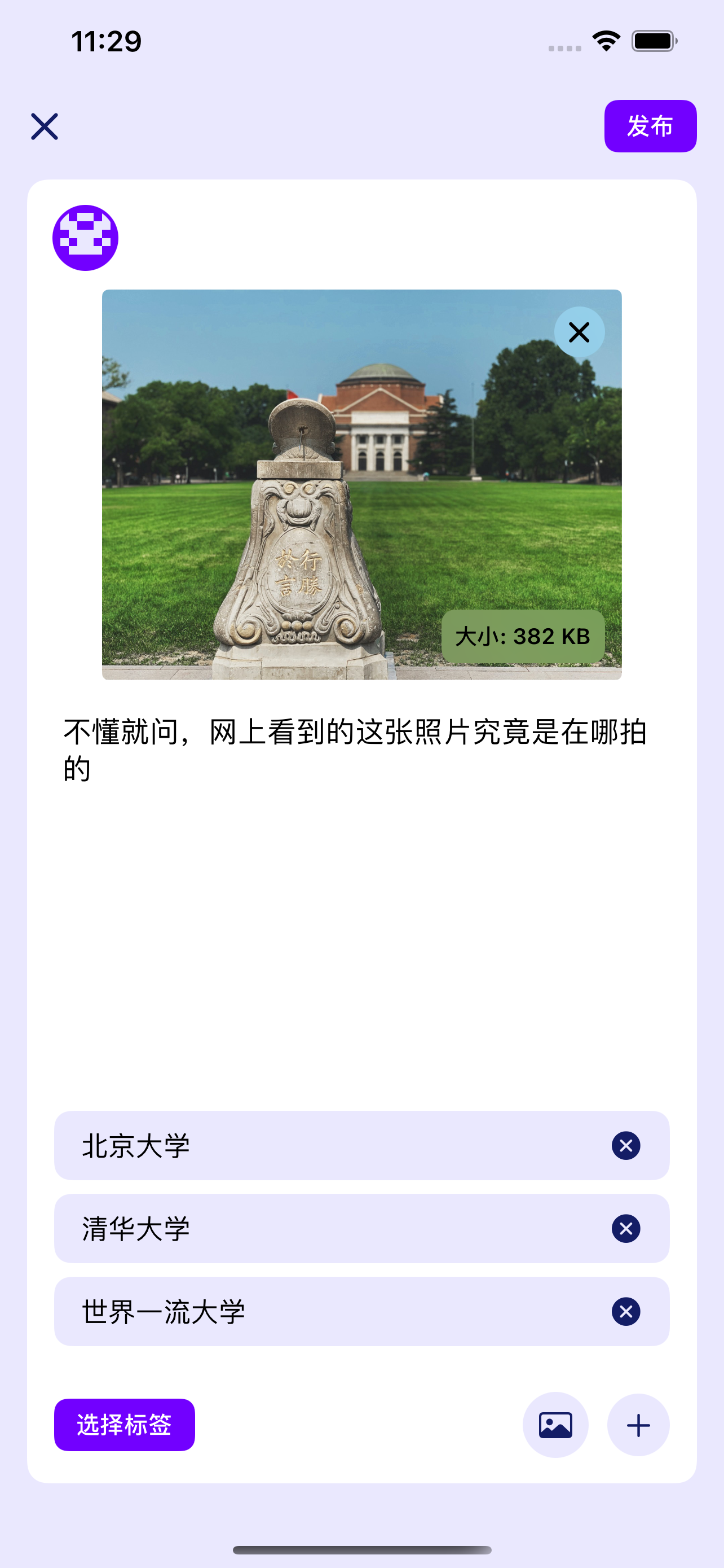 t大树洞