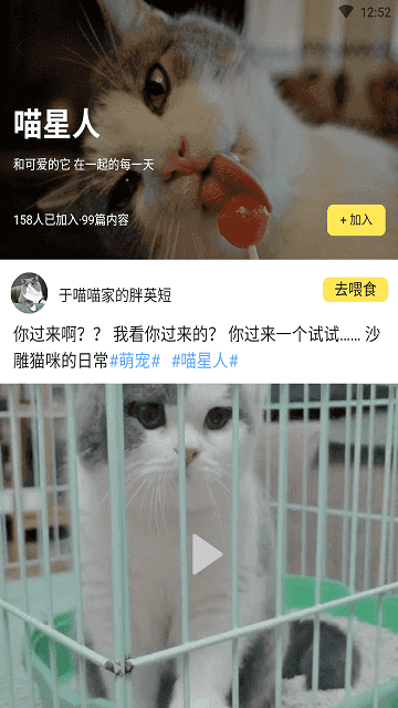 宠萌