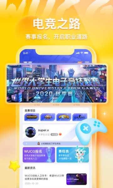 不鸽软件