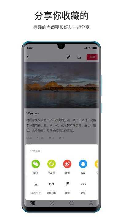 花瓣网手机版