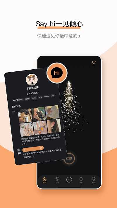Healer软件