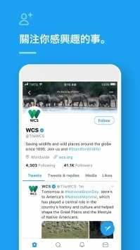 tweet最新安卓版