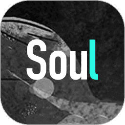 Soul社交