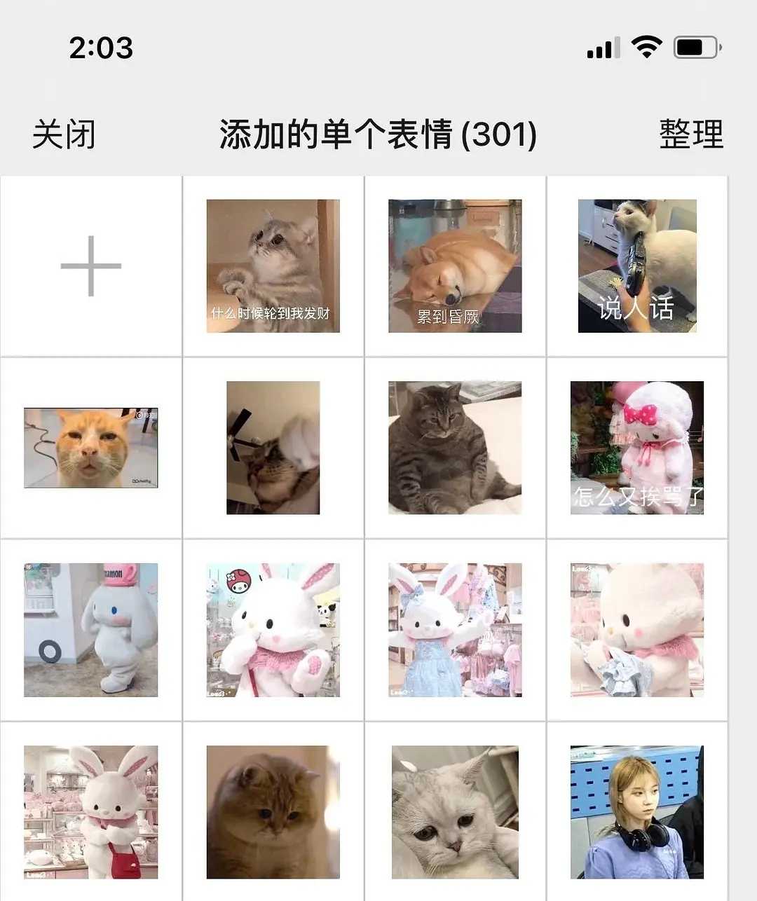 微信8.0.3