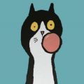 聆听云音乐正式版v1.0