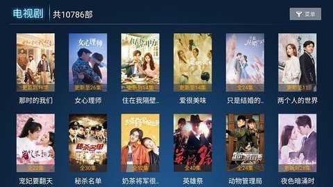 293视频去广告去升级