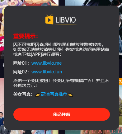 libvio追剧网