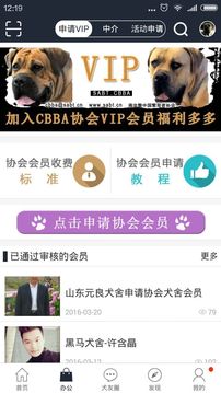 南非獒中国