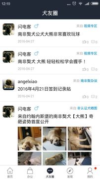 南非獒中国