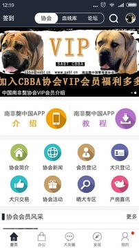 南非獒中国