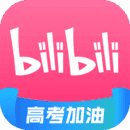 哔哩哔哩魔改定制版