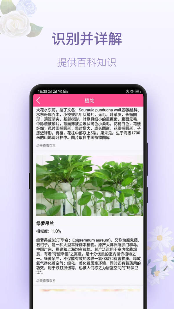 拍照识花app下载-拍照识花神器app下载
