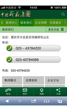 中国荷花集团