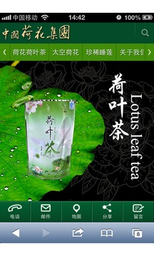 中国荷花集团