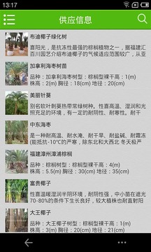 棕榈