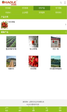 好乐草莓