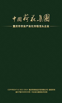 中国荷花集团