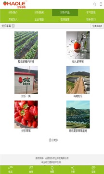 好乐草莓