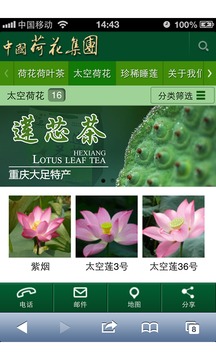 中国荷花集团