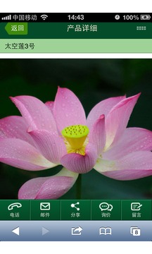 中国荷花集团