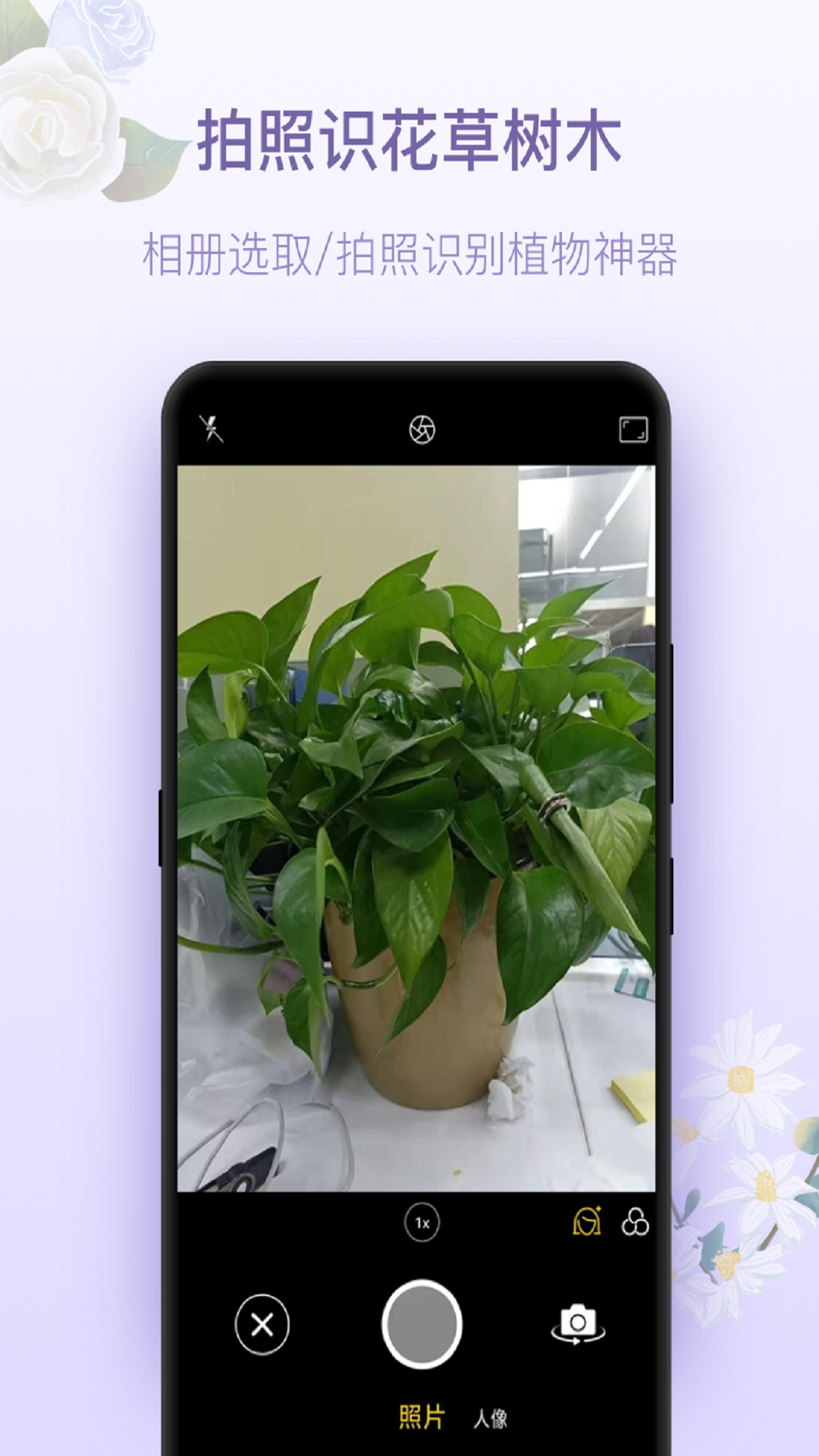 拍照识花appv1.7