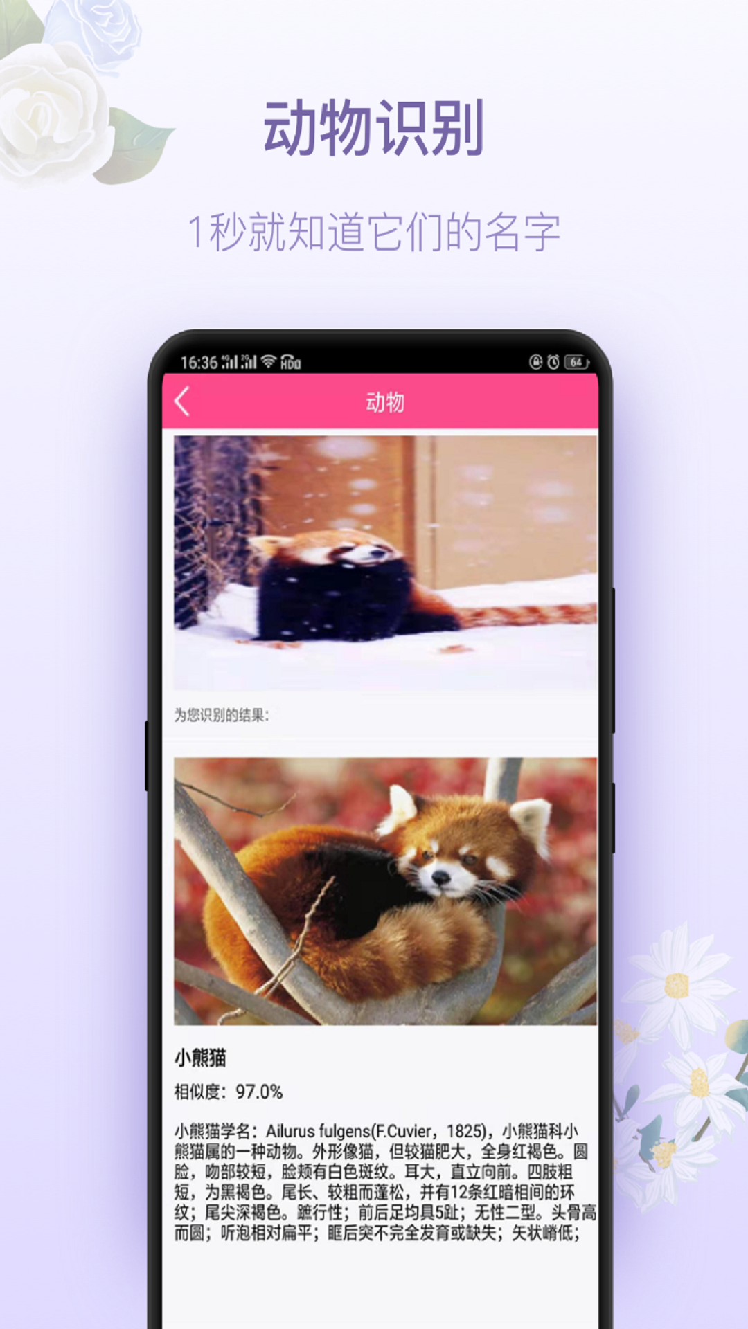 拍照识花appv1.7
