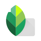 snapseed2022最新版v1.0