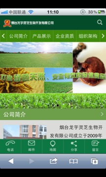龙宇灵芝