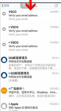 vsco2022破解版