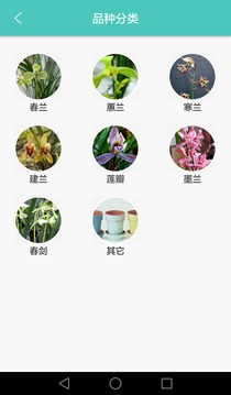 蘭拍堂788