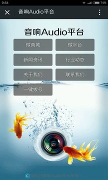 音响Audio平台