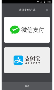 极速支付