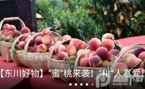 东川融媒体中心, 东川融媒体中心