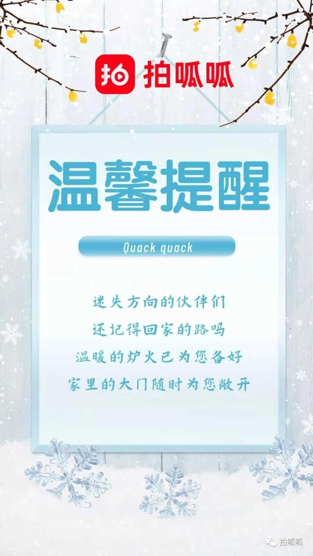拍呱呱app正式