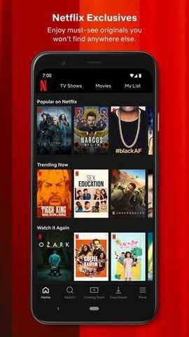 Netflix中文版