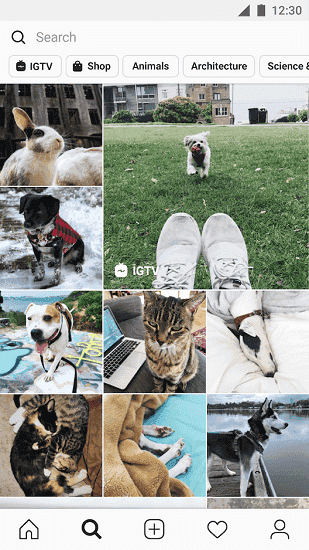 Instagram最新版2021