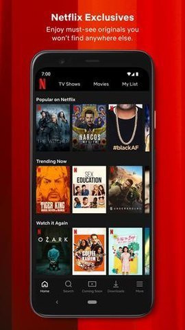 Netflix中文版
