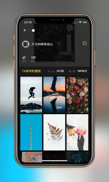 纸塘壁纸内购破解版v1.6.17