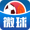 微球v4.3