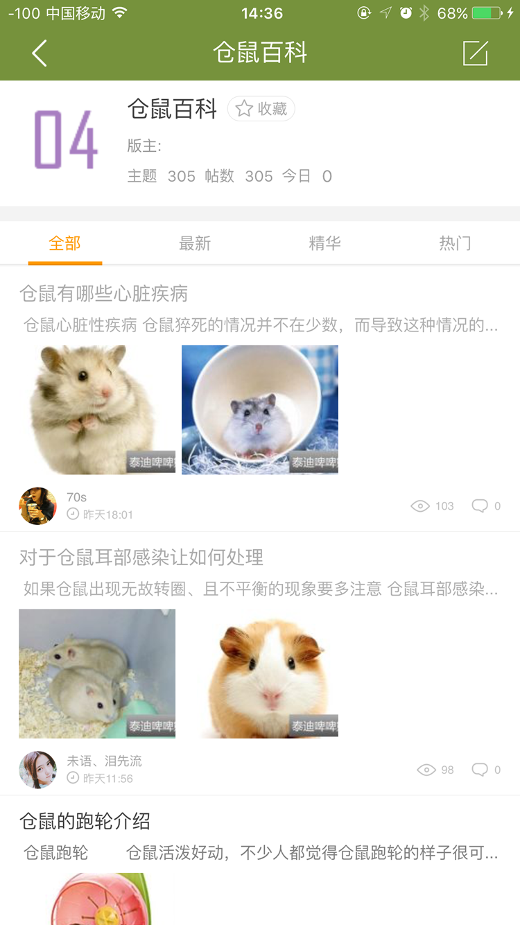 泰迪啤啤熊