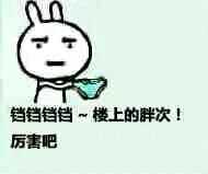猫挥舞荧光棒gif