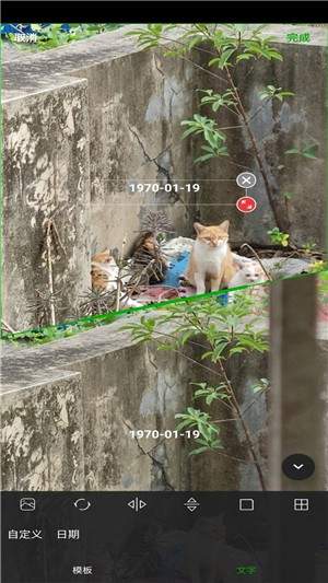 拼图九宫格切图