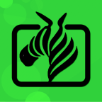 斑马视频app官方正版v6.5.1