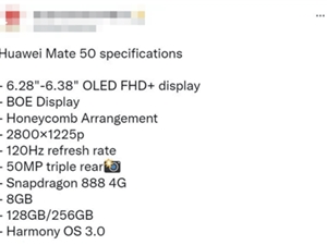 华为Mate 50参数曝光：国产2K屏 确定没有5G版