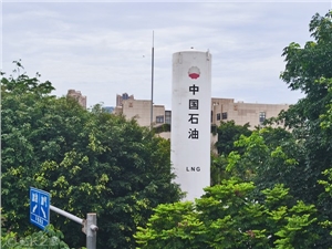 全球财富基金巨亏1.2万亿：科技股太差 石油股赚钱了