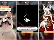趣AI | 继TikTok，Lightrick也在APP添加文本到图像AI生成器