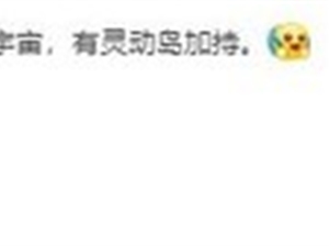 网友留言希望红米K60增加灵动岛，卢伟冰一句话回应，真的有戏？