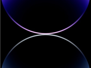 iPhone 14 Pro截屏带岛 网友：秀优越？