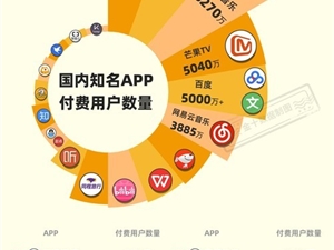 国内APP付费用户数量统计 B站险跌出前十